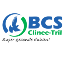 Borgerink Clinee Service (BCS)