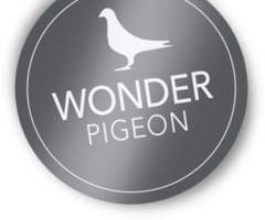Wonder Pigeon