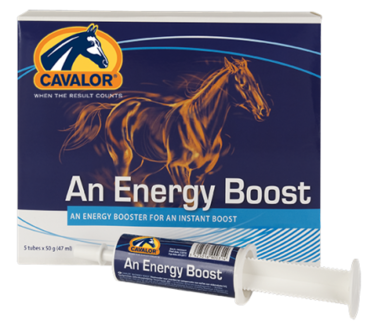 Cavalor - An Energy Boost - 6 X 60gr