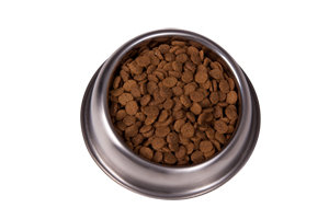 Puro-dogfood Puppy Large breed 26/14