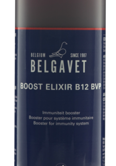 Belgavet Boost Elixire B12 BVP 500 ml