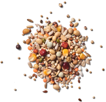 Natural - Green Power Breeding - 20 kg