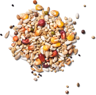 Natural - Green Power Flex - 20 kg