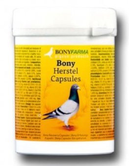 100 caps. Bony Recovery Capsules