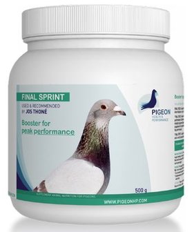 Pigeon Health Performance Final Sprint