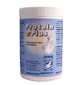 Backs Protein Plus