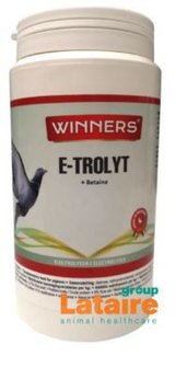 700 gr Winners E-Trolyt
