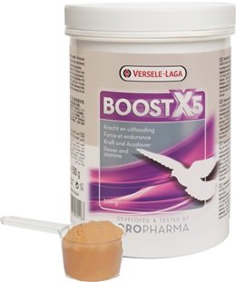 Versele - Laga Boost X5 Powder 500 gr