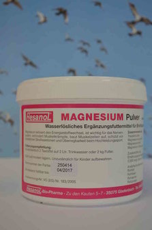 Hesanol Magnesium Pulver 100 gr 