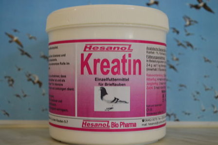 Hesanol Kreatin 