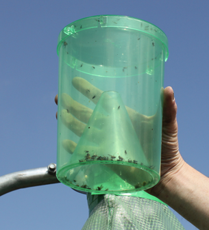 H-Trap Horsefly Trap System