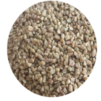 DHP cultura - Foenegriek