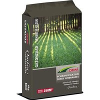 DCM - scahduwgraszaad -  6kg