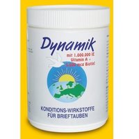 Ernst Nebel - dynamik  - 500gr