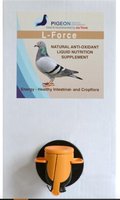 Pigeon Health Performance L-Force - 1000ml