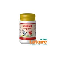 Winners Energy Boost Caps 50 caps