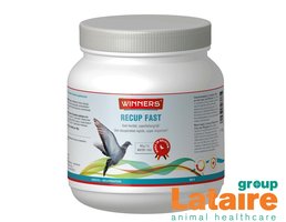 500 gr Winners Recup