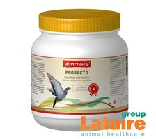 500 gr Winners Probacto
