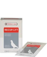 Versele - Laga Recup-Lyt 240 gr