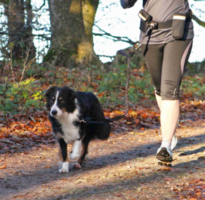 Trixie - Heupriem met Lijn